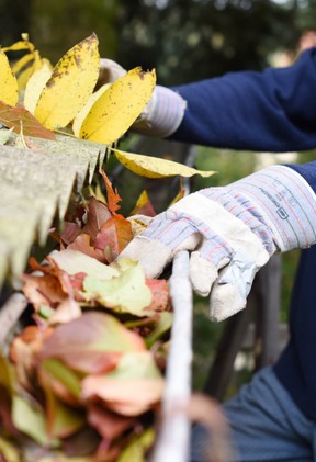 Utrzymywanie terenów zewnętrznych